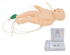  高级多功能新生儿综合急救训练模拟人