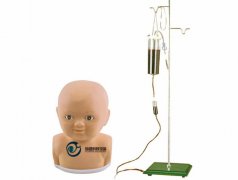 婴儿头部静脉穿刺训练模型