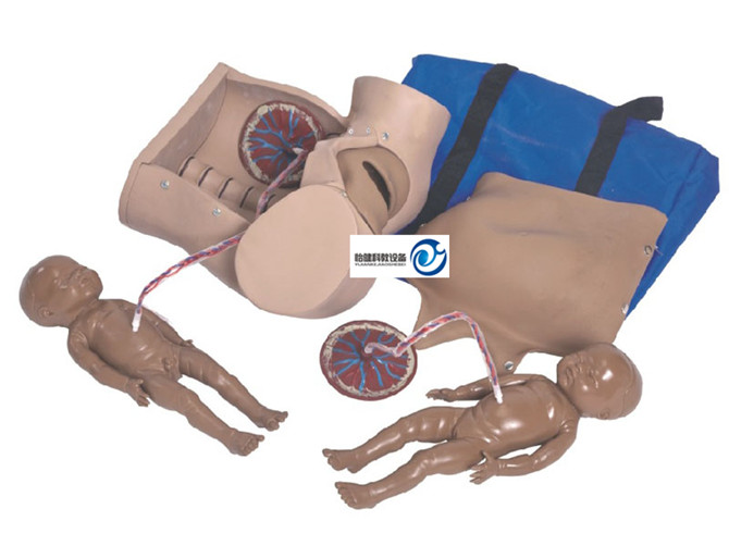 高级分娩综合技能训练模型