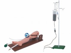 骨穿刺及股静脉模型